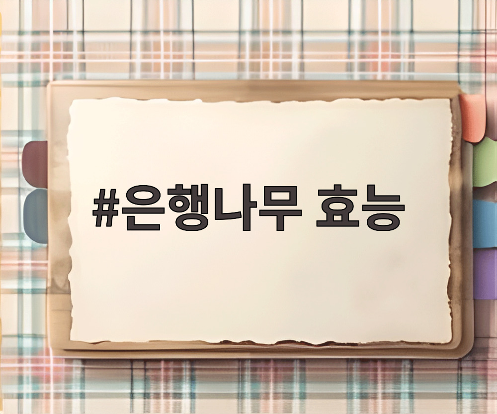 은행나무 효능