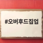 오버후드집업