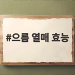 으름 열매 효능