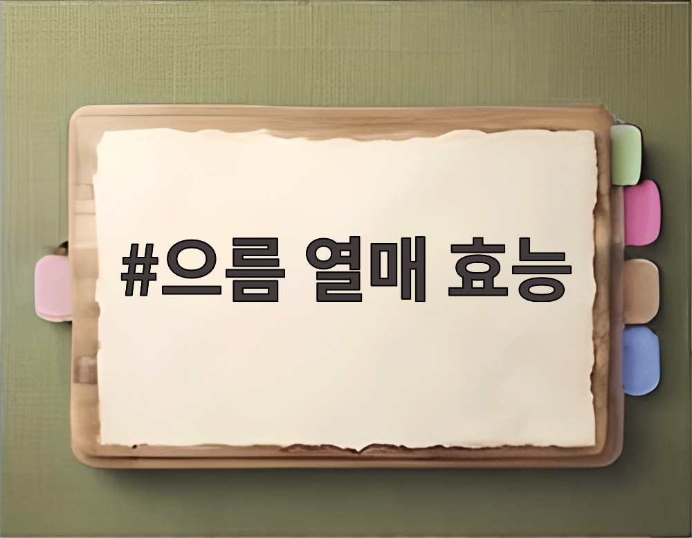 으름 열매 효능
