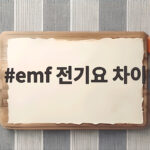 EMF 전기요 차이 인증부터 전기세까지 한번에 비교하기 emf 전기요 차이