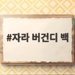 자라 버건디 백