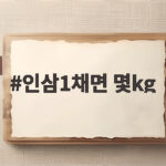 인삼1채면 몇kg
