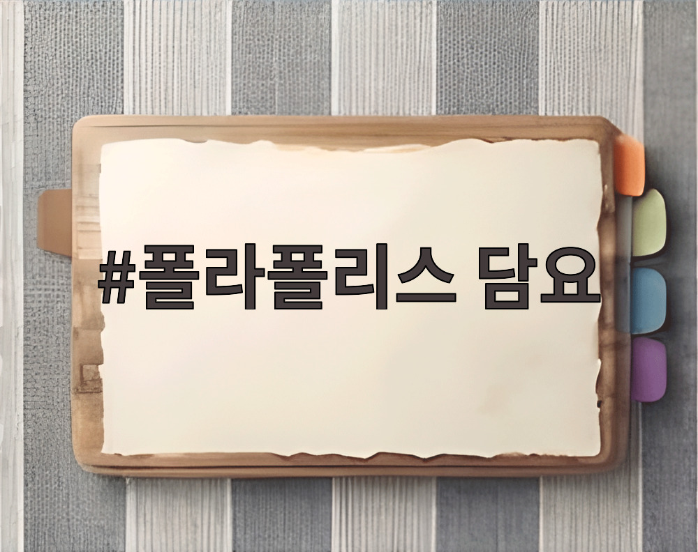 폴라폴리스 담요