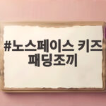 노스페이스 키즈 패딩조끼