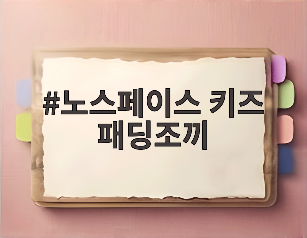 노스페이스 키즈 패딩조끼