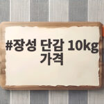 장성 단감 10kg 가격