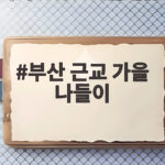 부산 근교 가을 나들이