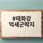태화강 억새군락지 가을 산책 명소로 떠오르는 이유 태화강 억새군락지