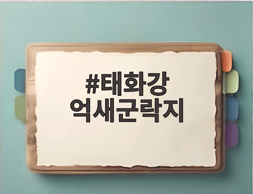 태화강 억새군락지