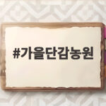 가을단감농원 제철 단감 맛보기 좋은 시기와 고르는 방법 가을단감농원