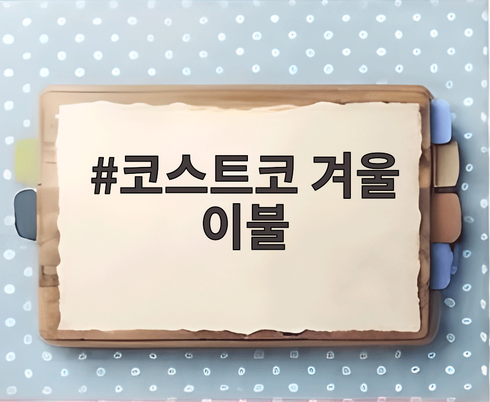 코스트코 겨울 이불