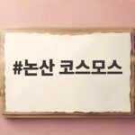 논산 코스모스