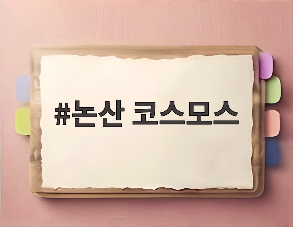 논산 코스모스