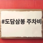도담삼봉 주차비