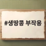 생땅콩 부작용 꼭 확인해야 하는 섭취와 보관 방법 생땅콩 부작용