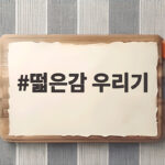 떫은감 우리기 소주 한 잔으로 끝나는 홍시 만들기 떫은감 우리기