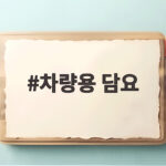 차량용 담요 하나만 준비하면 차 안이 이렇게 편해질 수 있습니다 차량용 담요