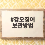 갑오징어 보관방법 냉장 냉동 이렇게 하면 오래도록 맛있게 먹어요 갑오징어 보관방법