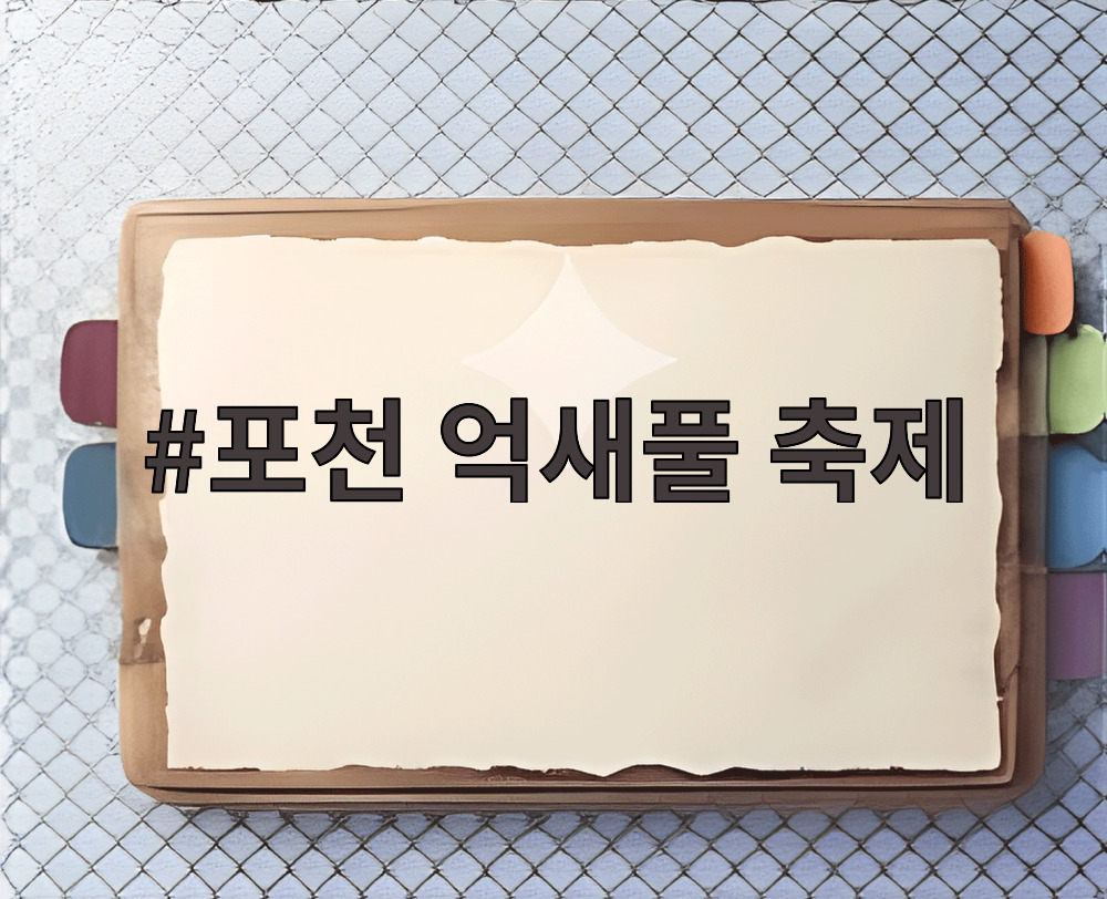 포천 억새풀 축제
