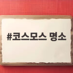코스모스 명소