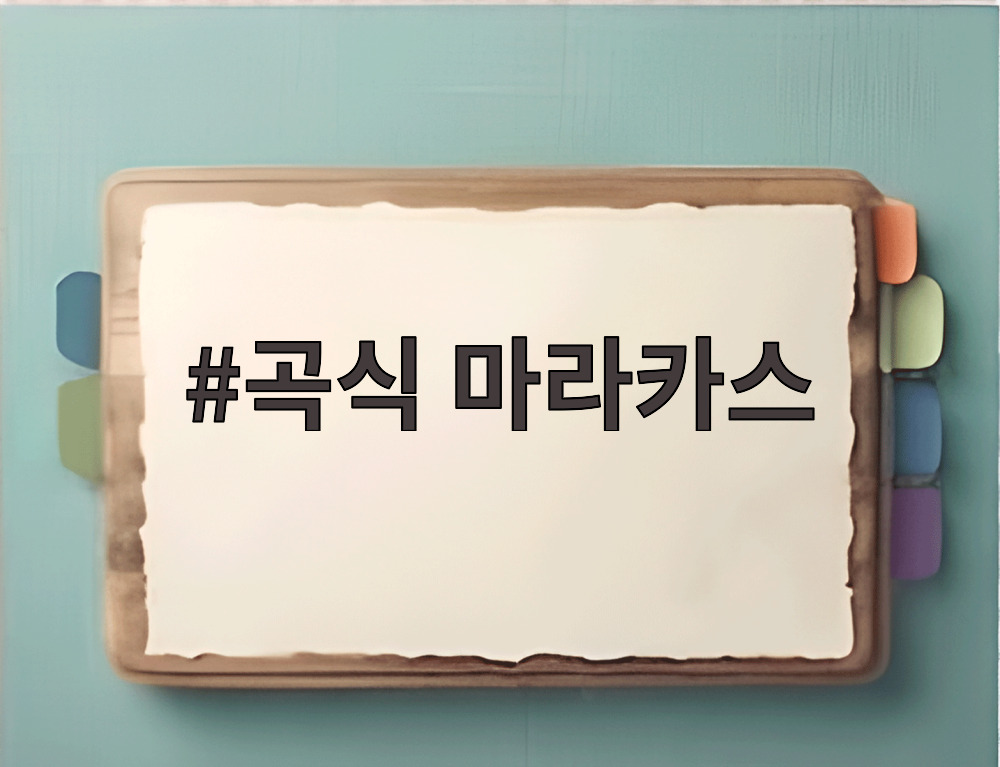 곡식 마라카스