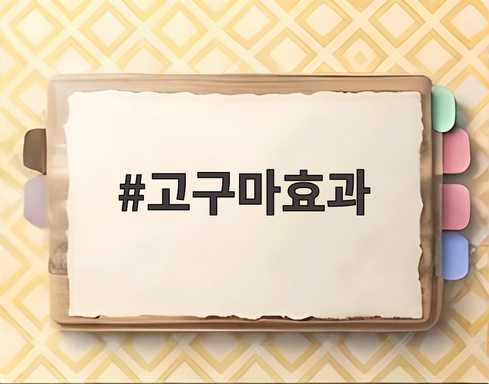 고구마효과