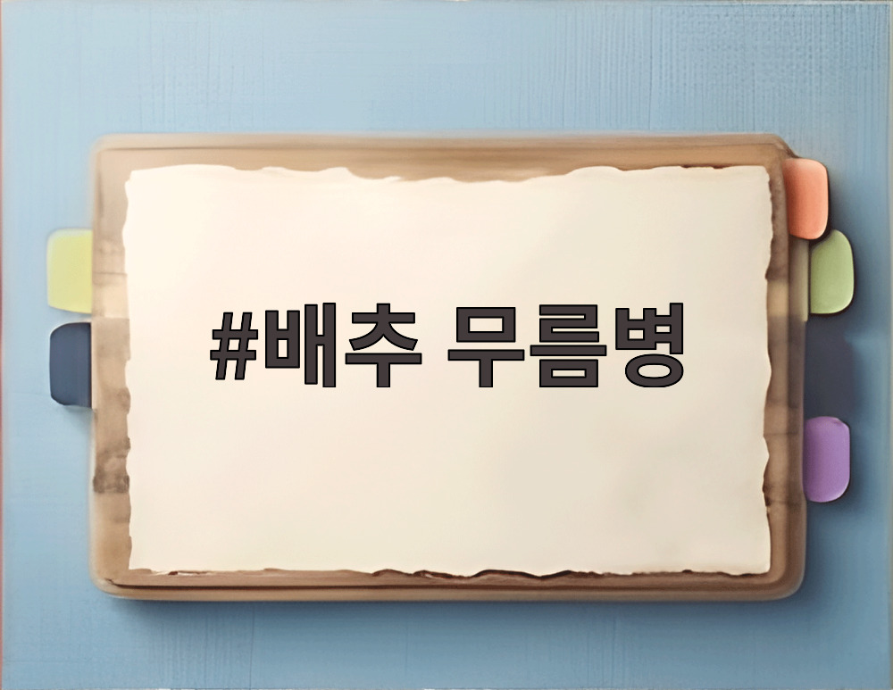 배추 무름병