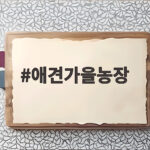 애견가을농장