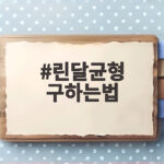 린달균형 구하는법