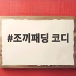 조끼패딩 코디