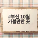 부산 10월 가볼만한 곳
