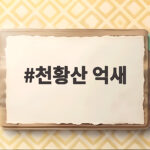 천황산 억새