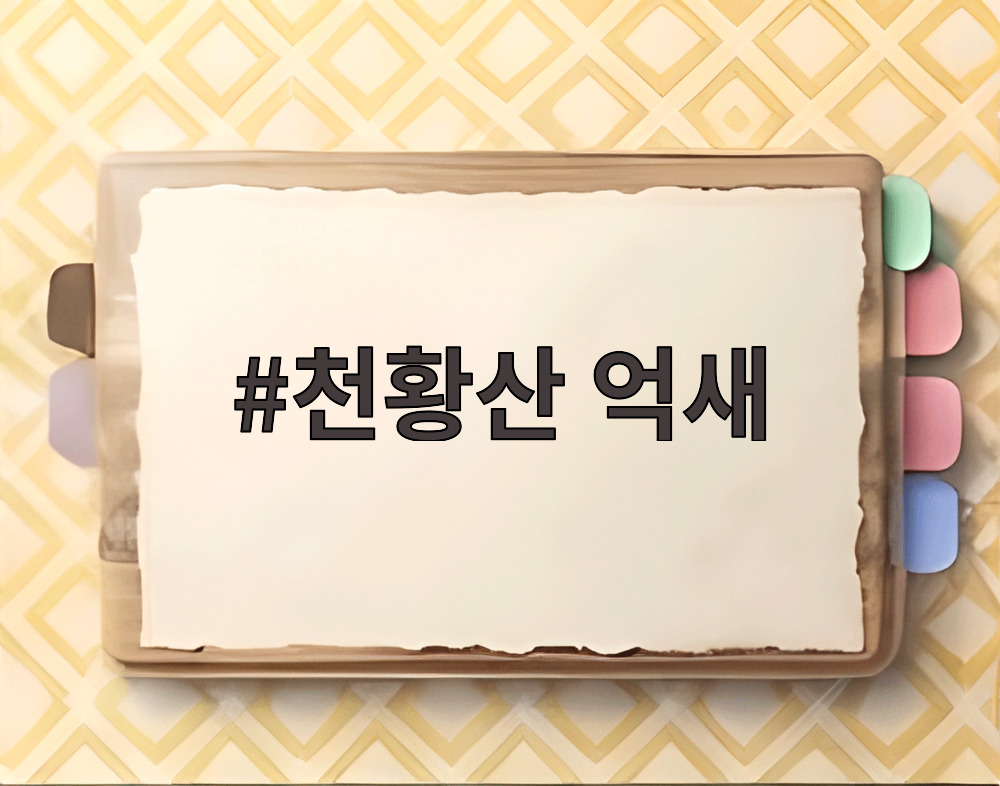 천황산 억새