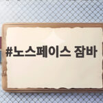 노스페이스 잠바 겨울 준비 이 한 벌이면 충분합니다 노스페이스 잠바