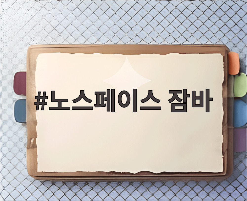 노스페이스 잠바