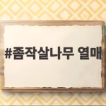 좀작살나무 열매