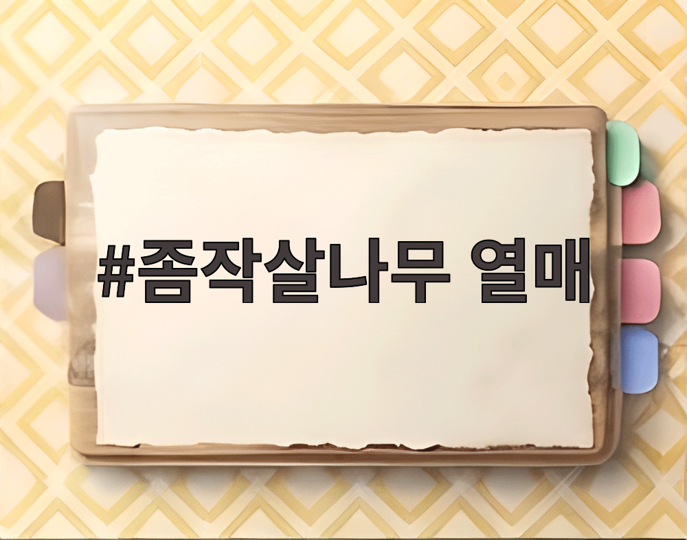 좀작살나무 열매