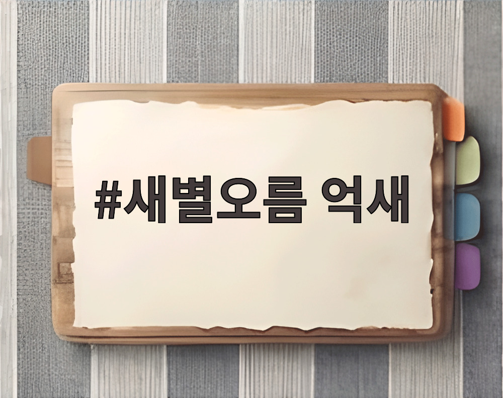 새별오름 억새