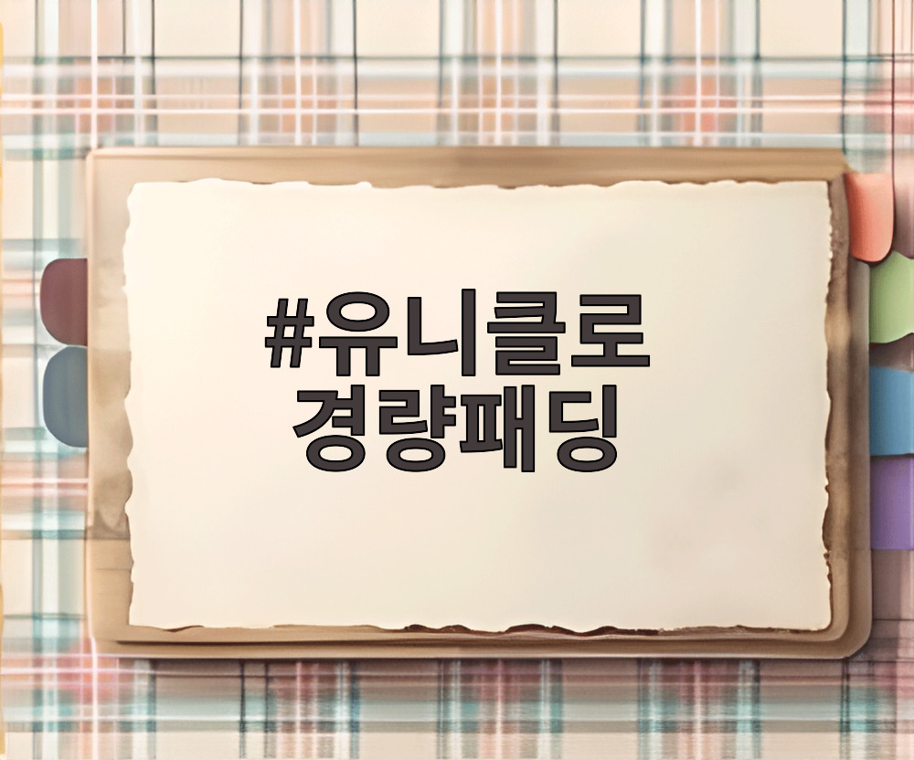 유니클로 경량패딩