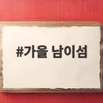 가을 남이섬 단풍 언제 볼까 배 시간과 즐길 거리 미리 확인 가을 남이섬