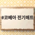 코베아 전기매트 사용해 보니 캠핑 난방 고민이 끝났습니다 코베아 전기매트