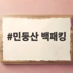 민둥산 백패킹