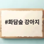 화담숲 강아지 동반 입장이 안 되는 이유와 대신 가볼 곳 화담숲 강아지