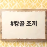 캉골 조끼