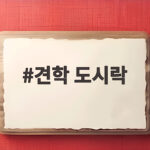 견학 도시락