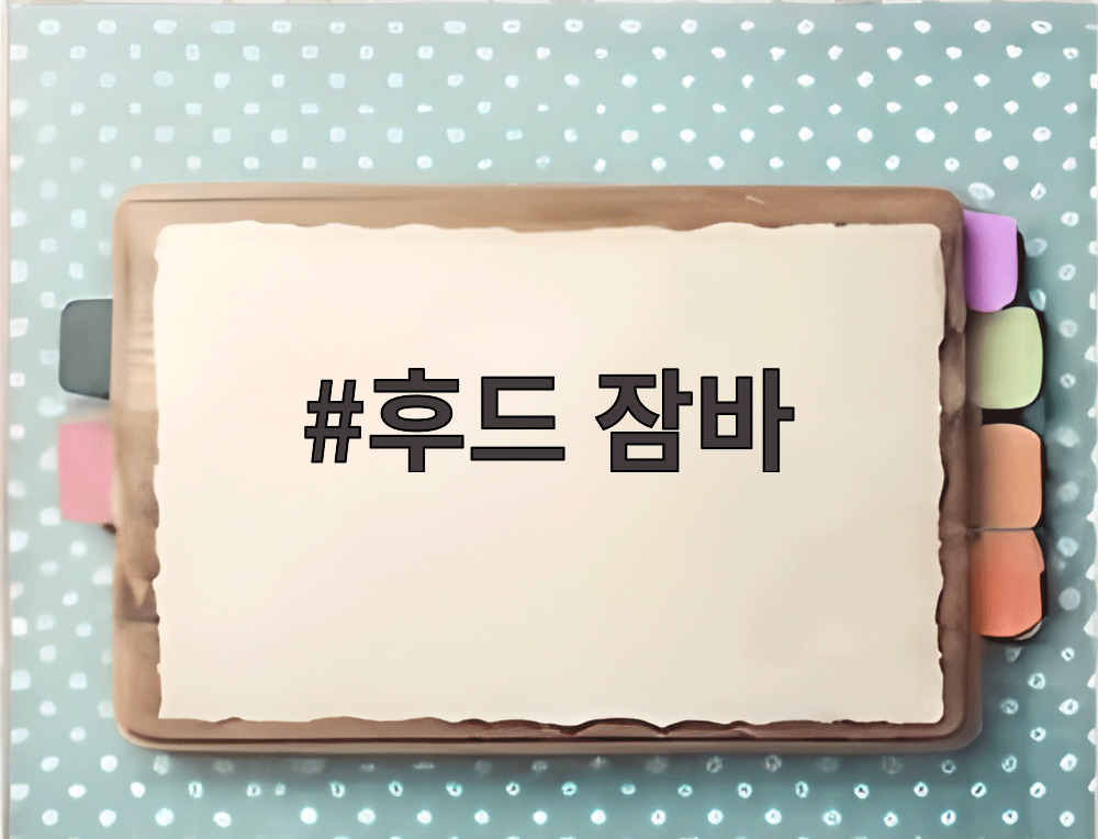 후드 잠바