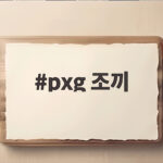 pxg 조끼로 간절기 골프룩 완성하는 실제 구매 후기 pxg 조끼