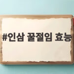 인삼 꿀절임 효능