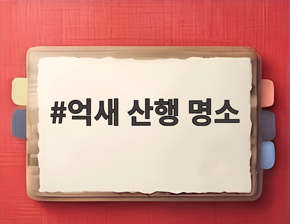 억새 산행 명소